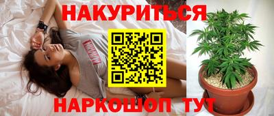 сатива Севастополь
