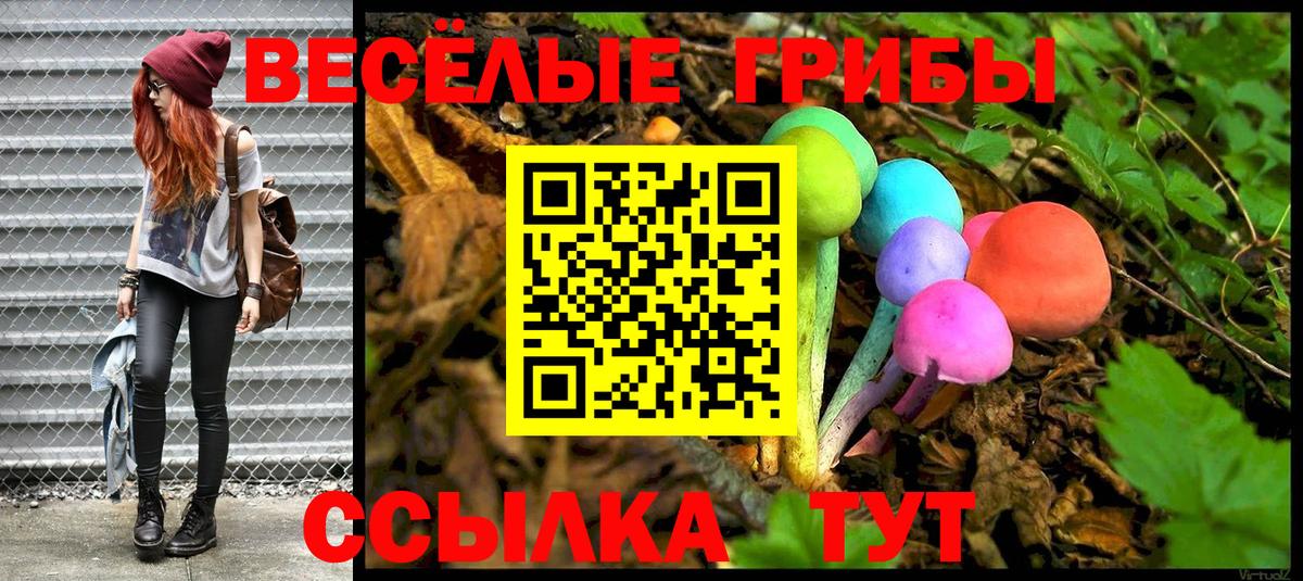 Новозыбков  Галлюциногенные грибы Cubensis  Вход с VPN  Псилоцибиновые грибы мицелий 
