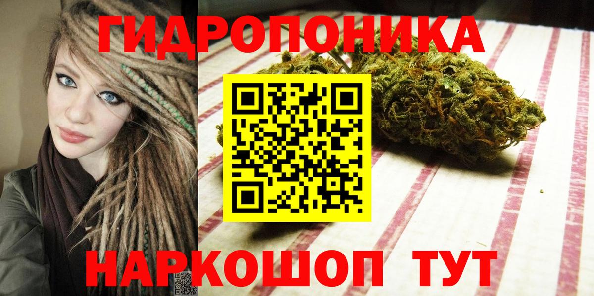 Бошки марихуана THC 21% Новозыбков